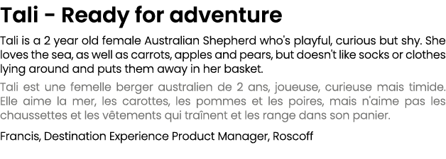 Tali Ready for adventure Tali is a 2 year old female Australian Shepherd who's playful, curious but shy. She loves th...