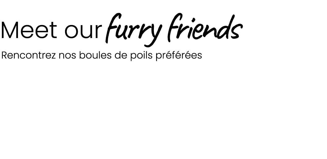 Meet ourfurry friends Rencontrez nos boules de poils pr f r es