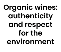 Organic wines: authenticity and respect for the environment