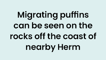 Migrating puffins can be seen on the rocks off the coast of nearby Herm 