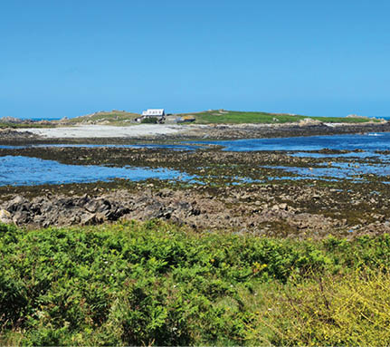 Torteval Feilds, Guernsey Channel Islands